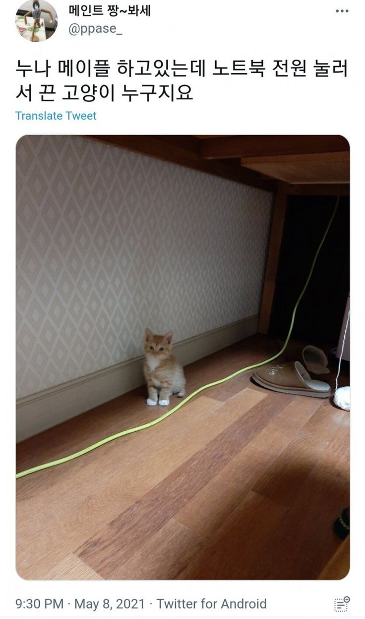 호시탐탐 이미지