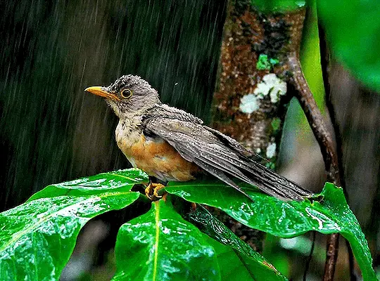 눈 감았다 뜨면 6월이야! 6월이면 곧이에요 곧! | 인스티즈