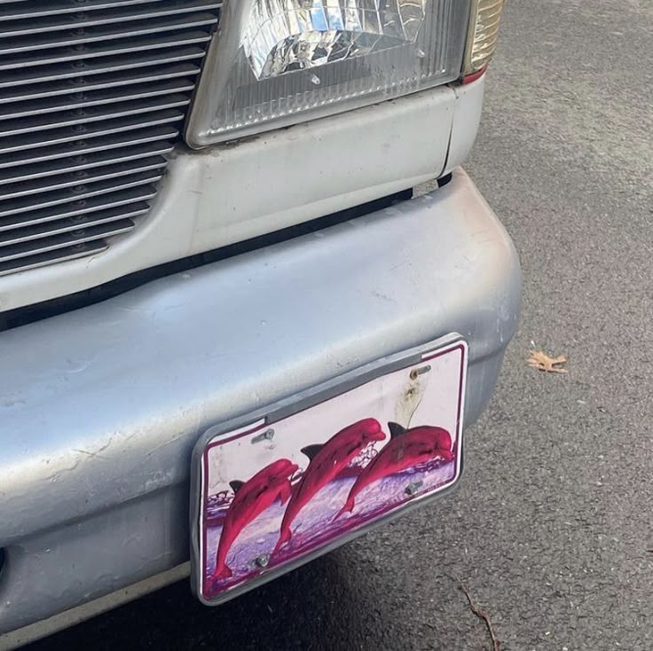 진짜로 끝나버렸어 여름! | 인스티즈