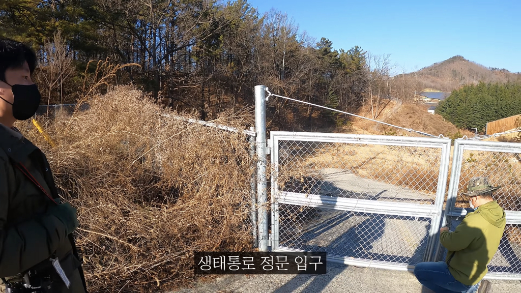 고속도로에 있는 생태통로 진짜 야생동물이 다닐까? | 인스티즈