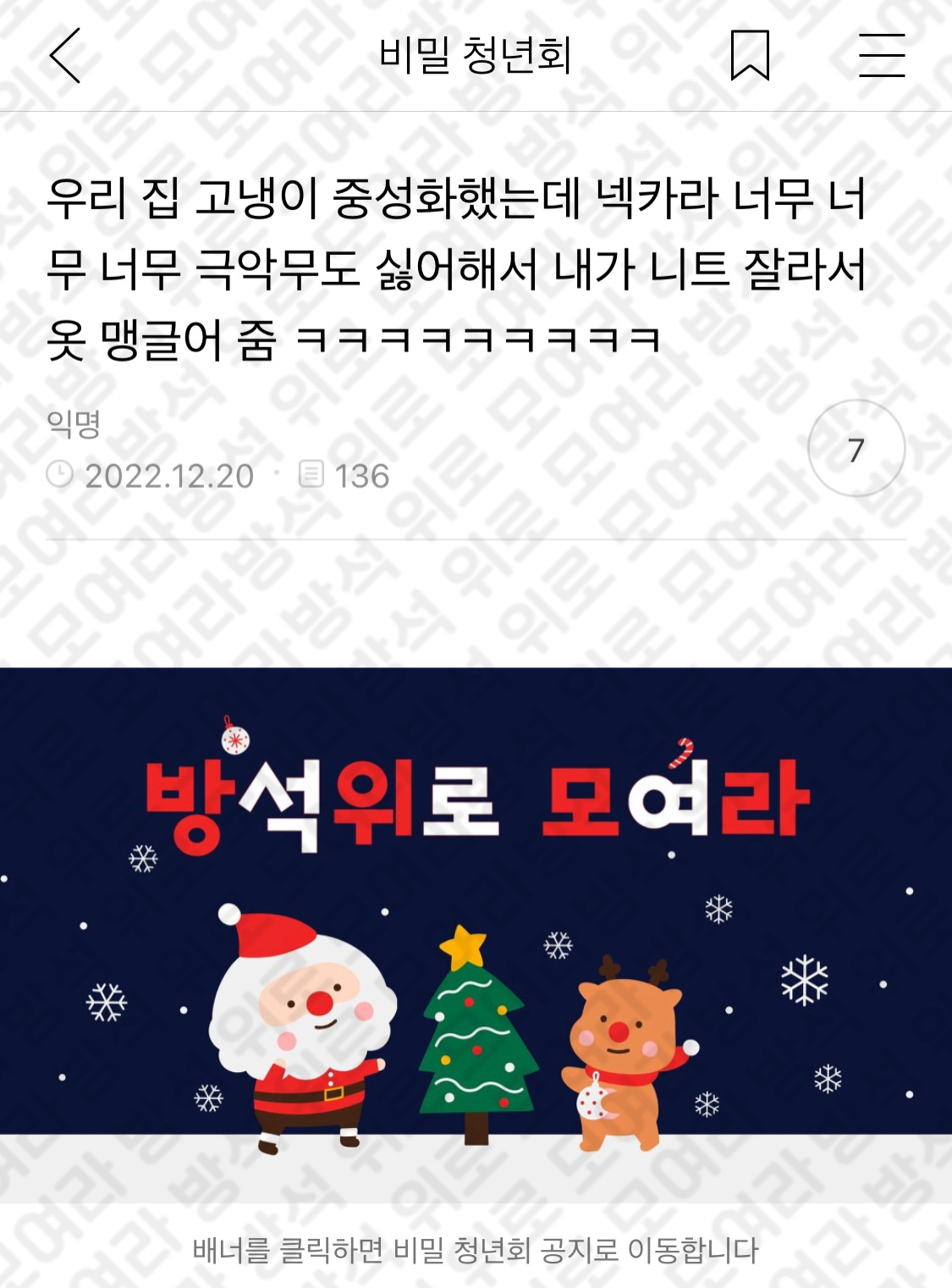 우리 집 고냉이 중성화했는데 넥카라 너무 너무 너무 극악무도 싫어해서 내가 니트 잘라서 옷 맹글어 줌 ㅋㅋㅋㅋㅋㅋㅋㅋㅋ | 인스티즈