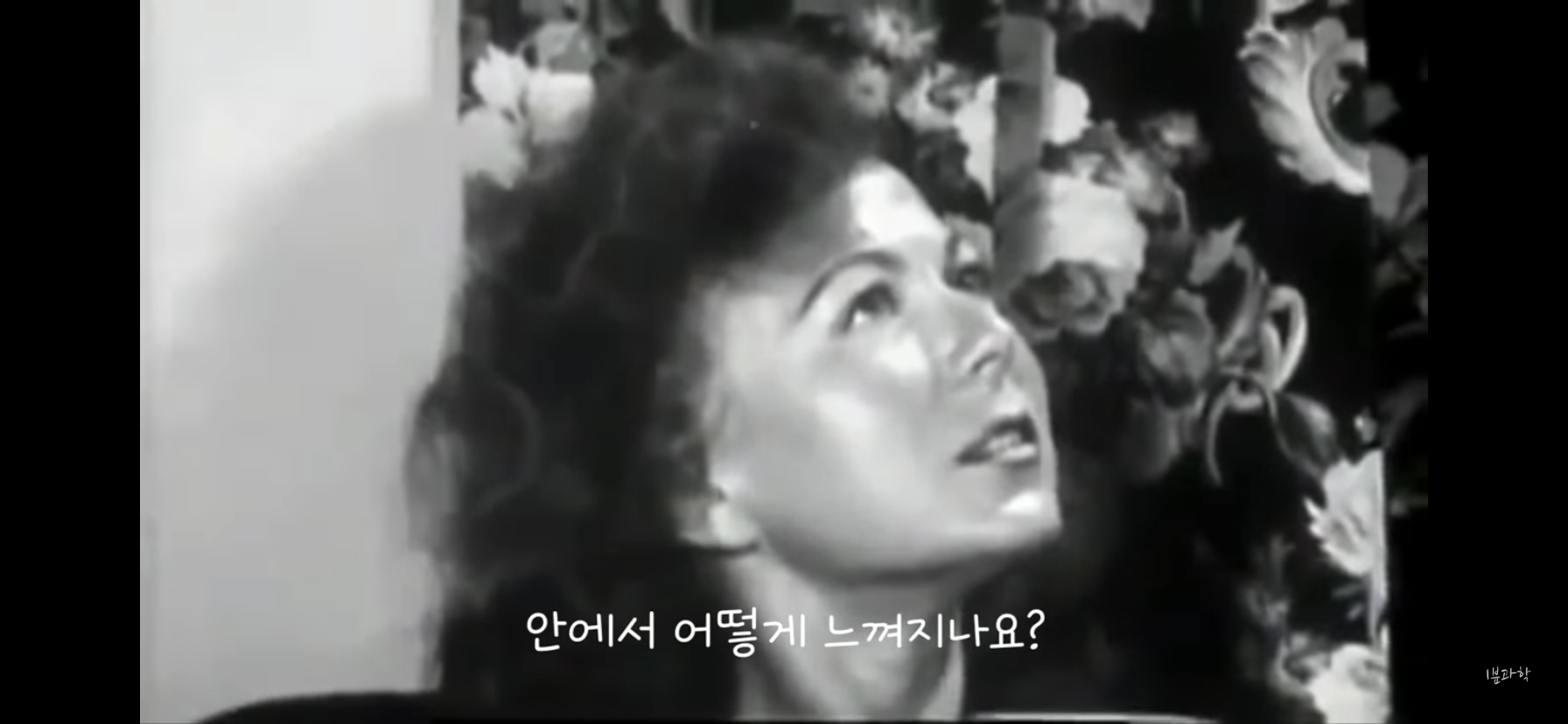 전세계에서 금지된 마약 | 인스티즈