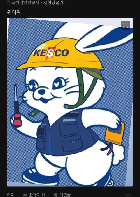 뉴진스 토끼 근황 | 인스티즈