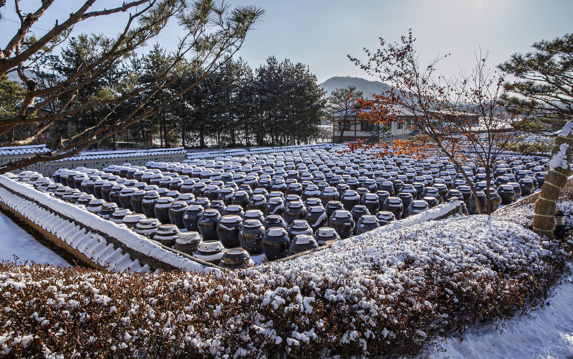❄️한국의 겨울❄️ | 인스티즈