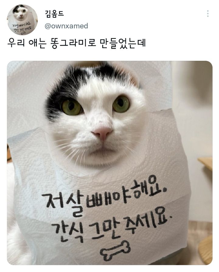 나만 없어 고양이.twt | 인스티즈