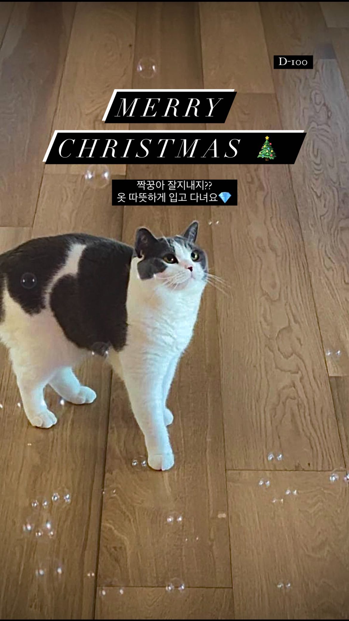 샤이니 태민 인스타스토리 | 인스티즈
