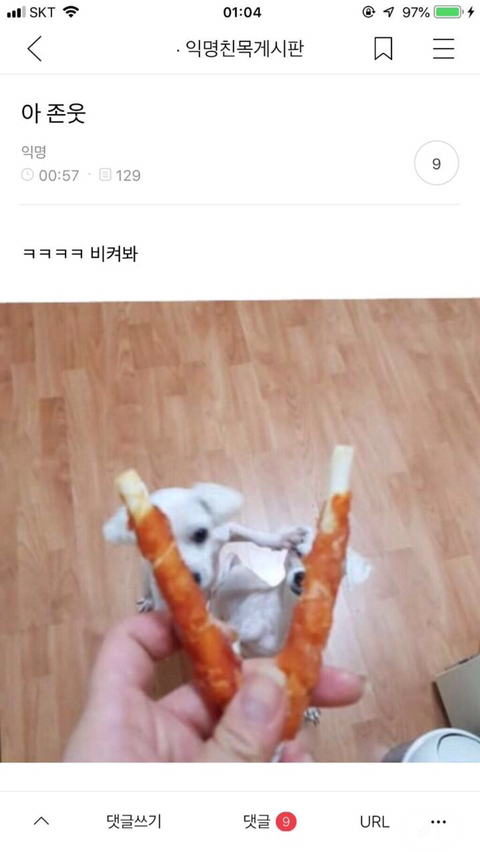 첨보는거같은 익웃 모음 | 인스티즈