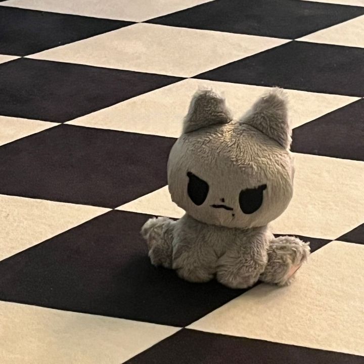 요즘 아이돌 팬들 사이 덕질 필수템 중에 하나인 것 | 인스티즈