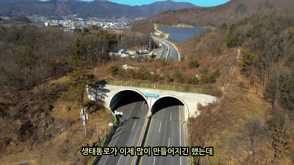 고속도로에 있는 생태통로 진짜 야생동물이 다닐까? | 인스티즈