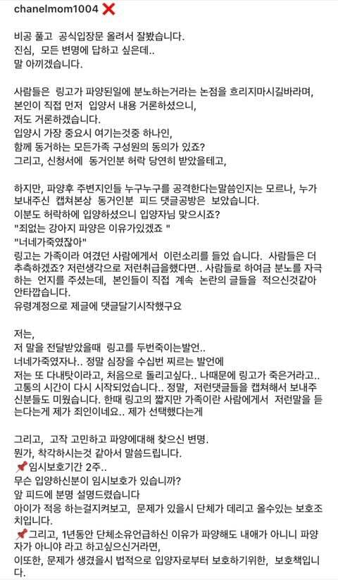 파양된 후 식음전폐하다 하늘나라 간 강아지 링고의 파양자 입장문(+ 입양센터(구조단체) 입장문) | 인스티즈