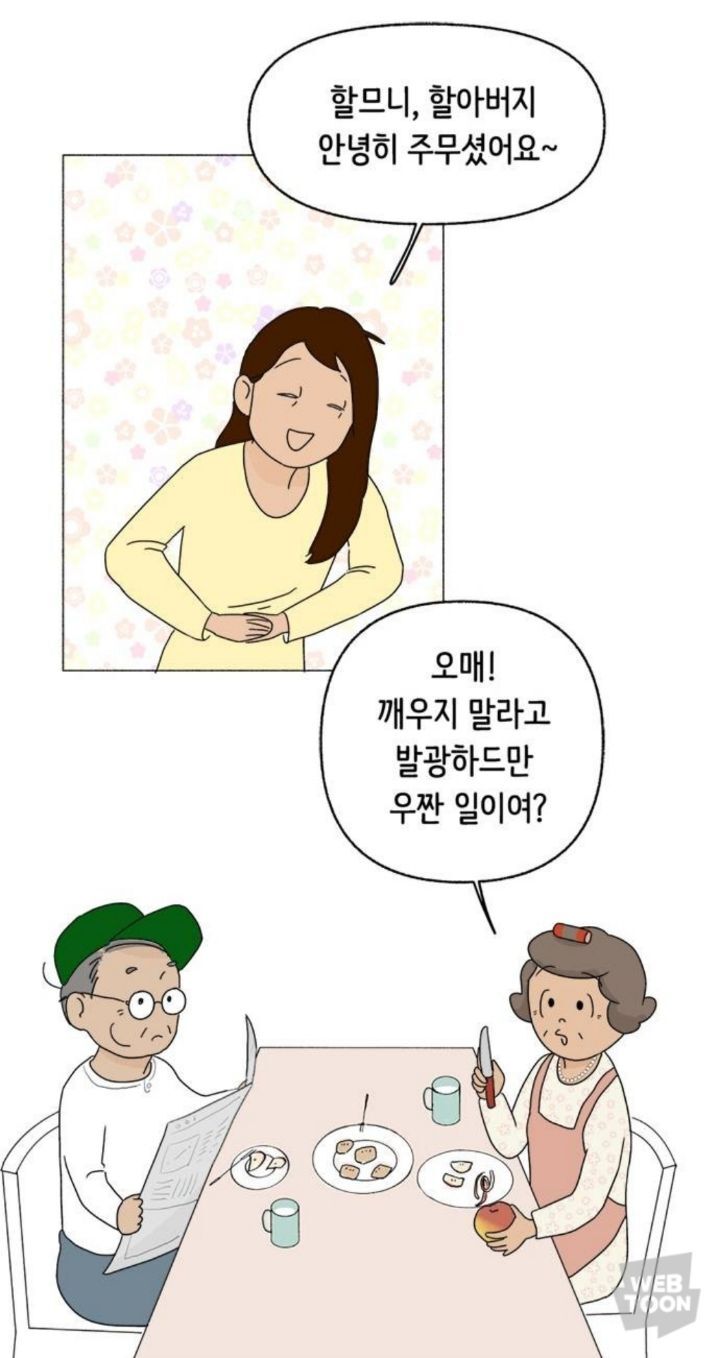 직장이랑 가까워서 할머니집에서 살게됐는데 더 일찍 일어나는거 실화? | 인스티즈
