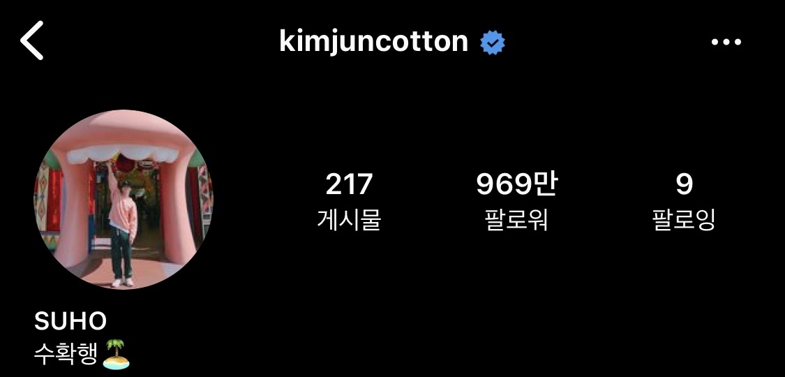 인스타 아이디 센스있게 지은 아이돌 모음 | 인스티즈