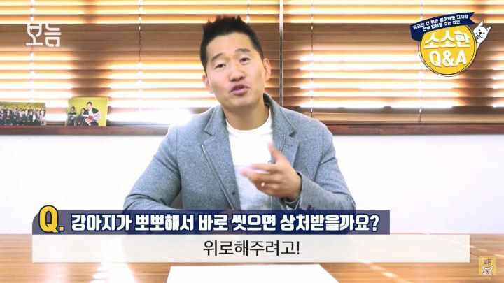 강아지 뽀뽀가 불편하다고 직접 표현하면 안되는 이유.jpg | 인스티즈