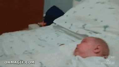 강아지 짤 모음(개많음) | 인스티즈