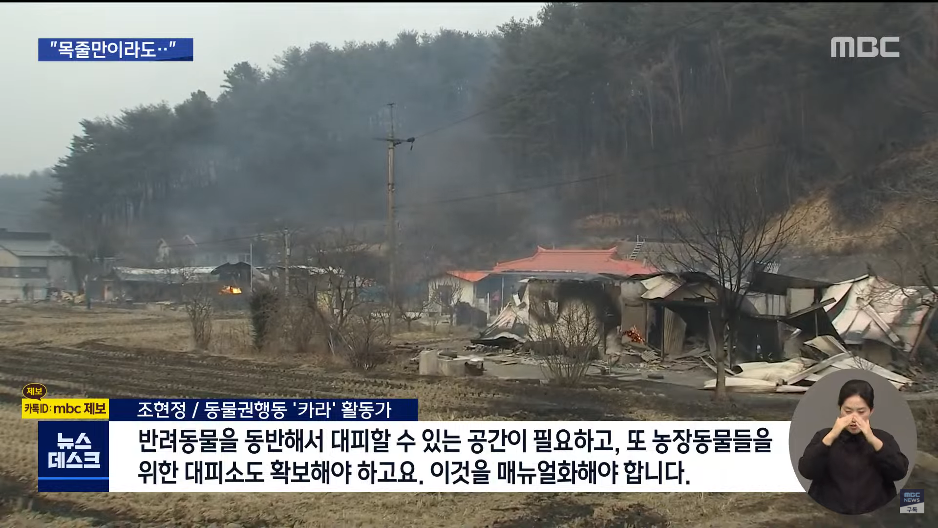 재난 대피소에 출입 불가능한 동물들 | 인스티즈