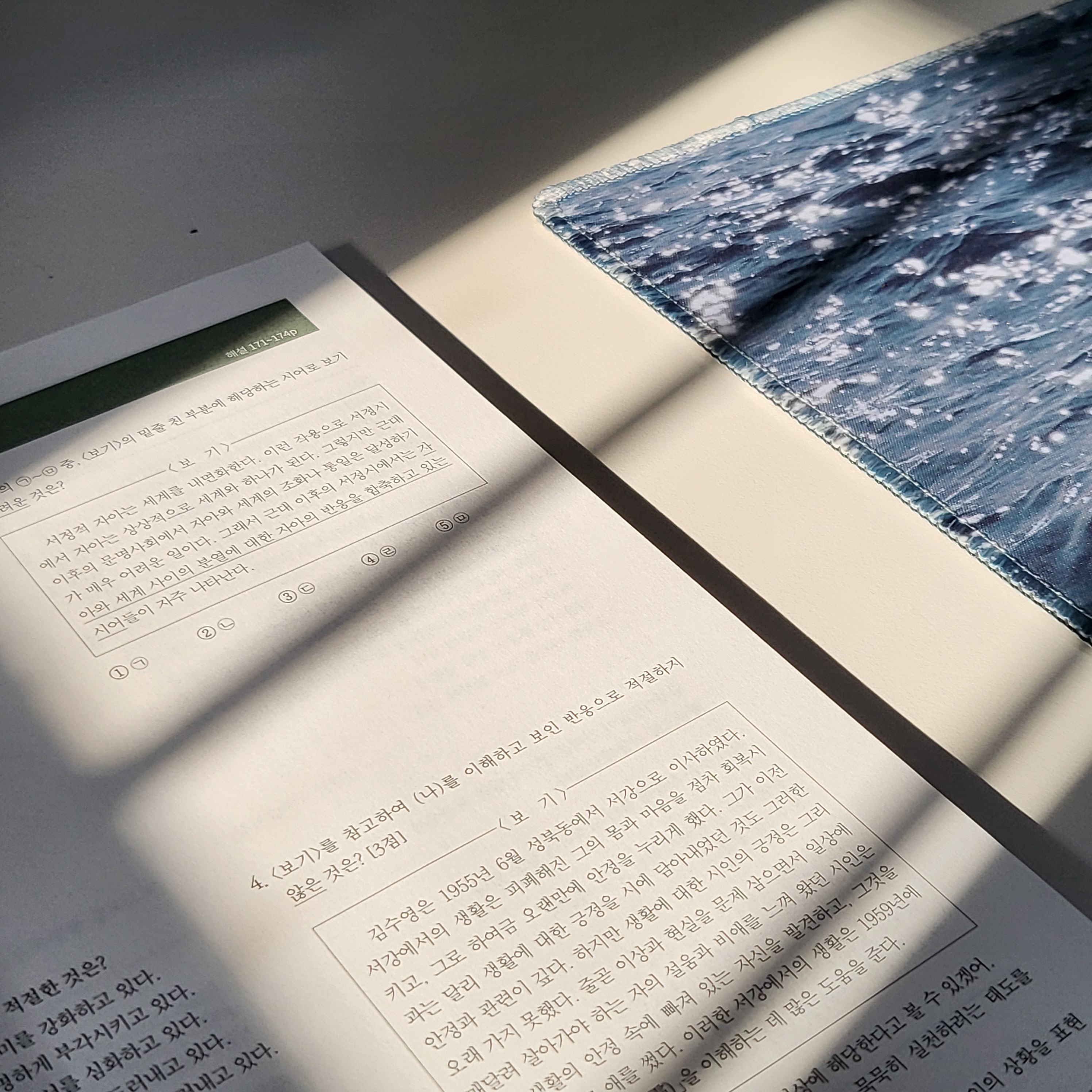 여름 향기 나는 사진 공유하는 글 | 인스티즈