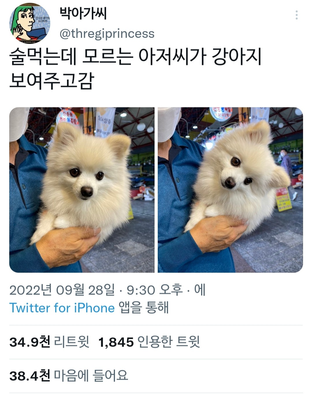 술먹는데 모르는 아저씨가 강아지 보여주고감.twt | 인스티즈