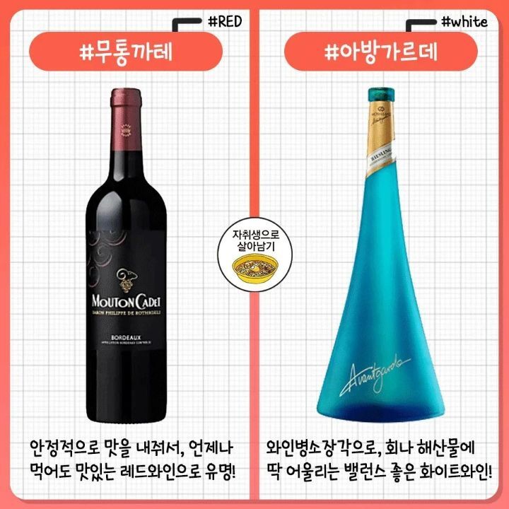 레드/화이트 와인 추천 모음.jpg | 인스티즈