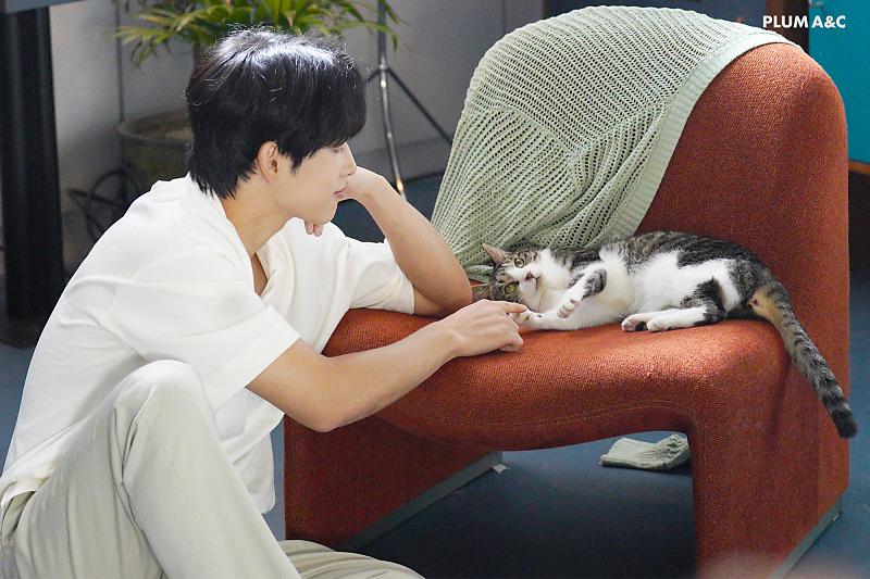 담당자 사심이 느껴지는 배우의 네이버포스트(feat.고양이) | 인스티즈