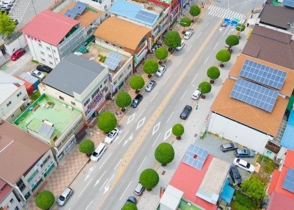 충북 단양군 읍내의 버섯돌이 가로수 | 인스티즈