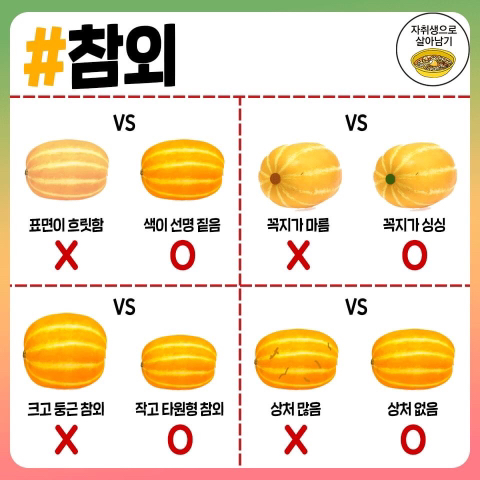 맛있는 과일 고르는 방법.jpg | 인스티즈