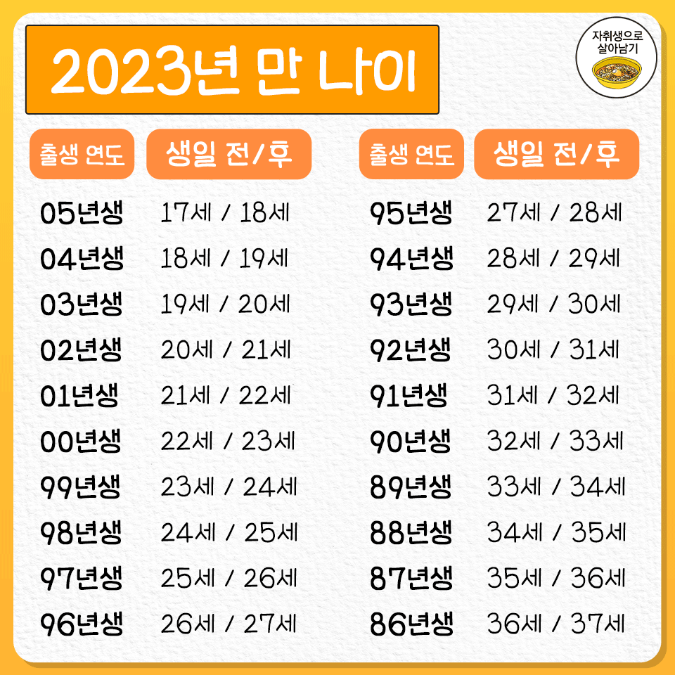 2023년 꿀정보 총정리 | 인스티즈
