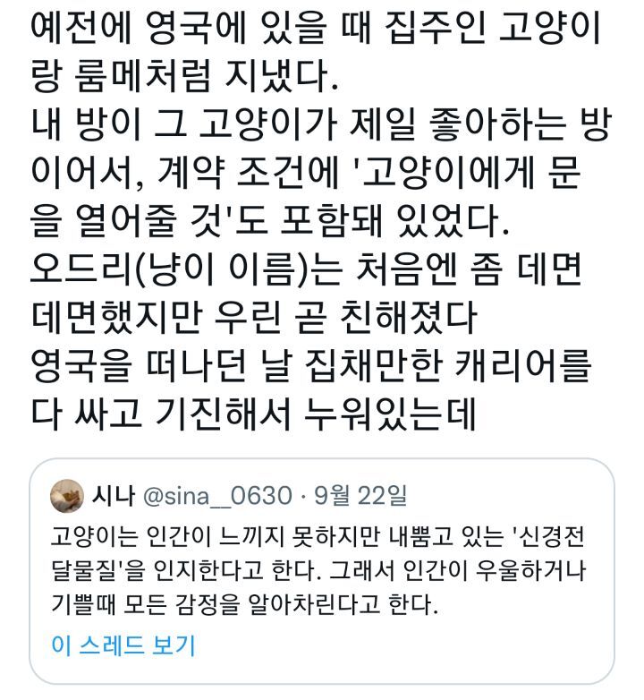 고양이도 이별의 슬픔을 안다 | 인스티즈