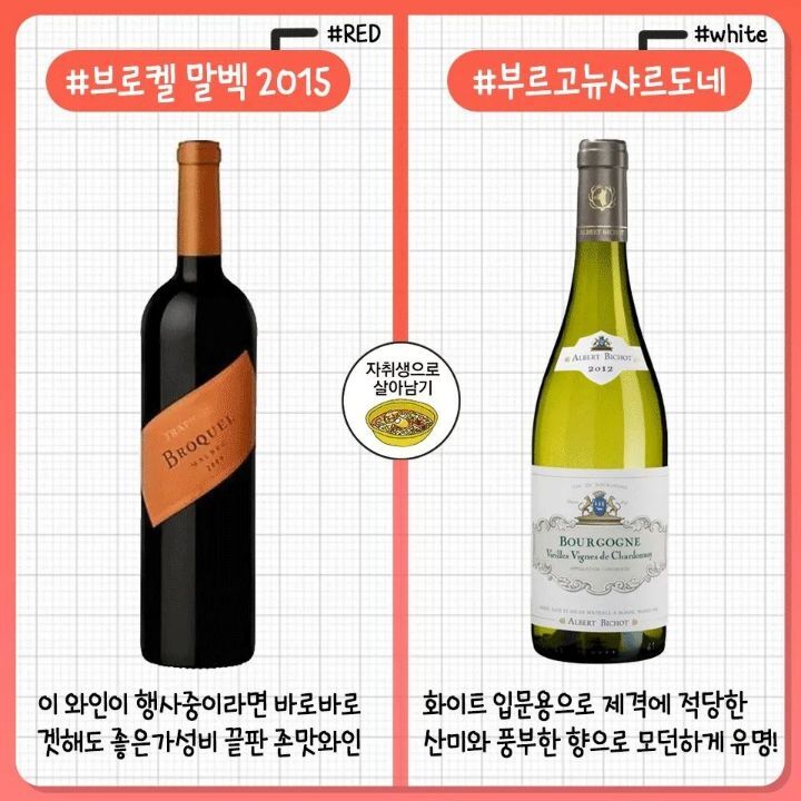 레드/화이트 와인 추천 모음.jpg | 인스티즈