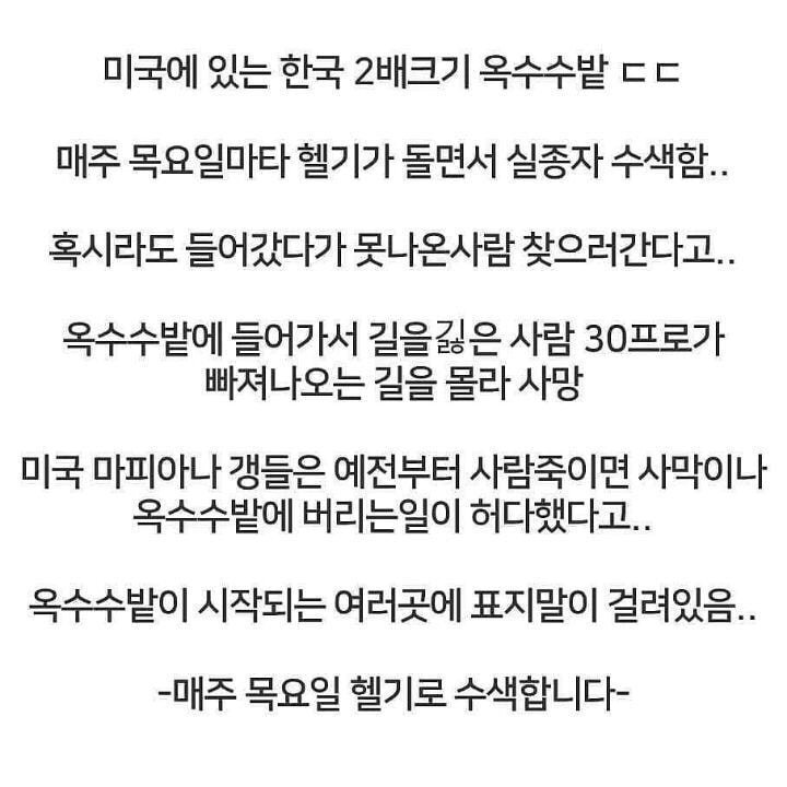미국에서 옥수수밭에 들어가면 안되는 이유 | 인스티즈