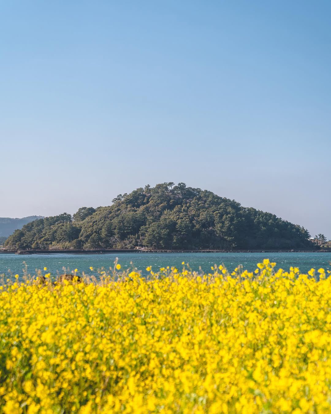 한국관광공사 계정에서 볼 수 있는 한국 | 인스티즈