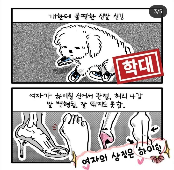 개vs여자 | 인스티즈