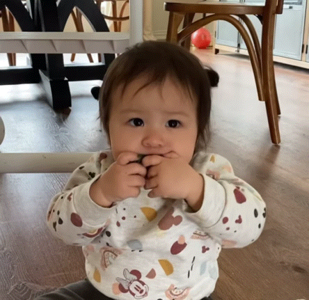 딸기 먹는 체리.gif | 인스티즈