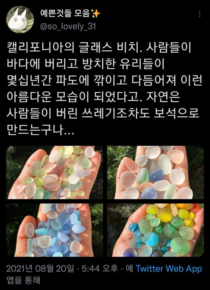 자연은 사람이 버린 쓰레기를 아름다운 보석으로 만들었다. 캘리포니아의 '글래스 비치' | 인스티즈