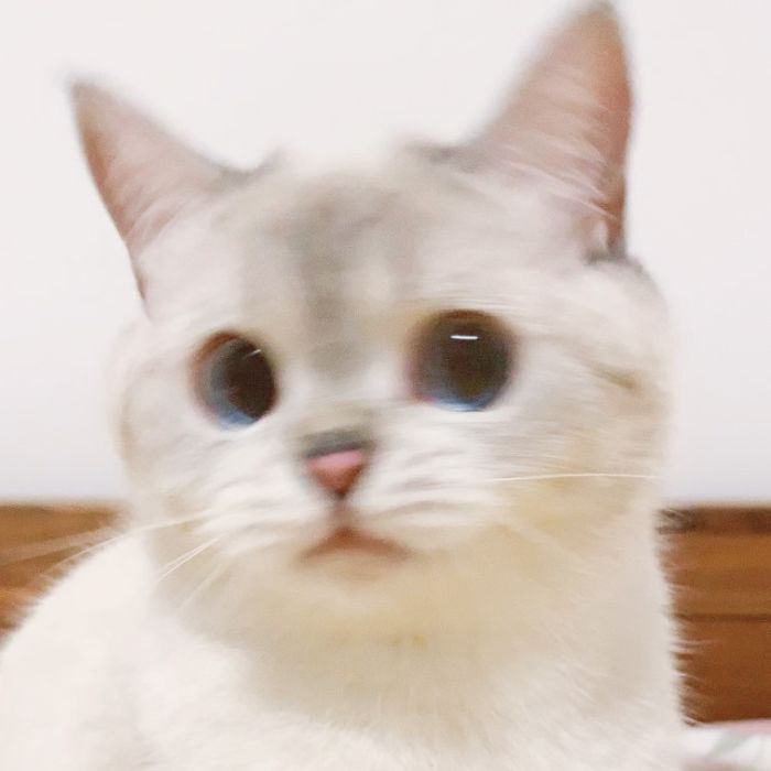 상상이상 이미지