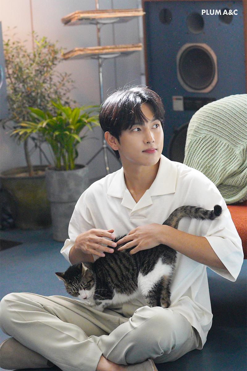 담당자 사심이 느껴지는 배우의 네이버포스트(feat.고양이) | 인스티즈