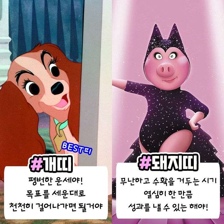 2023년 계묘년 띠별 운세모음 | 인스티즈