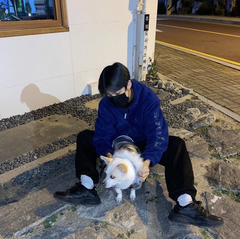 강아지별로 떠난 전 엑스원 이은상 반려견 웅이 | 인스티즈