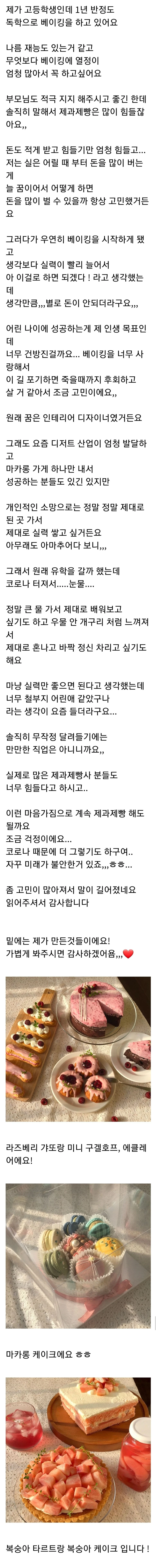 베이킹으로 진로고민한다던 고등학생 근황 | 인스티즈