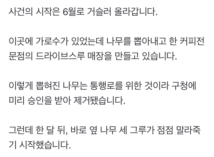 두 달 사이 말라죽은 수령 40년 가로수, 대체 무슨 일? | 인스티즈