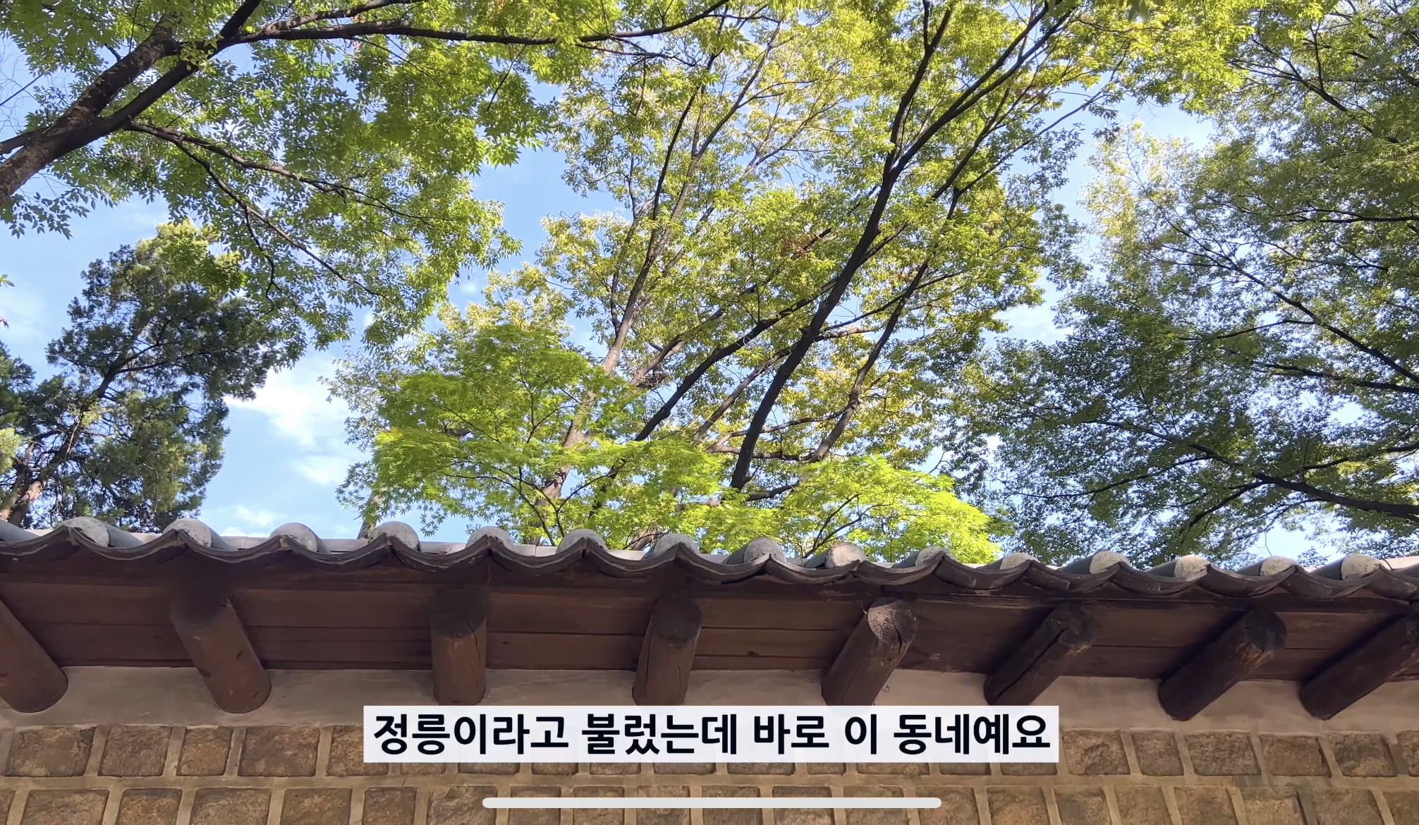 한국인 보다 더 한국인같은 파비앙의 정동 소개영상 | 인스티즈