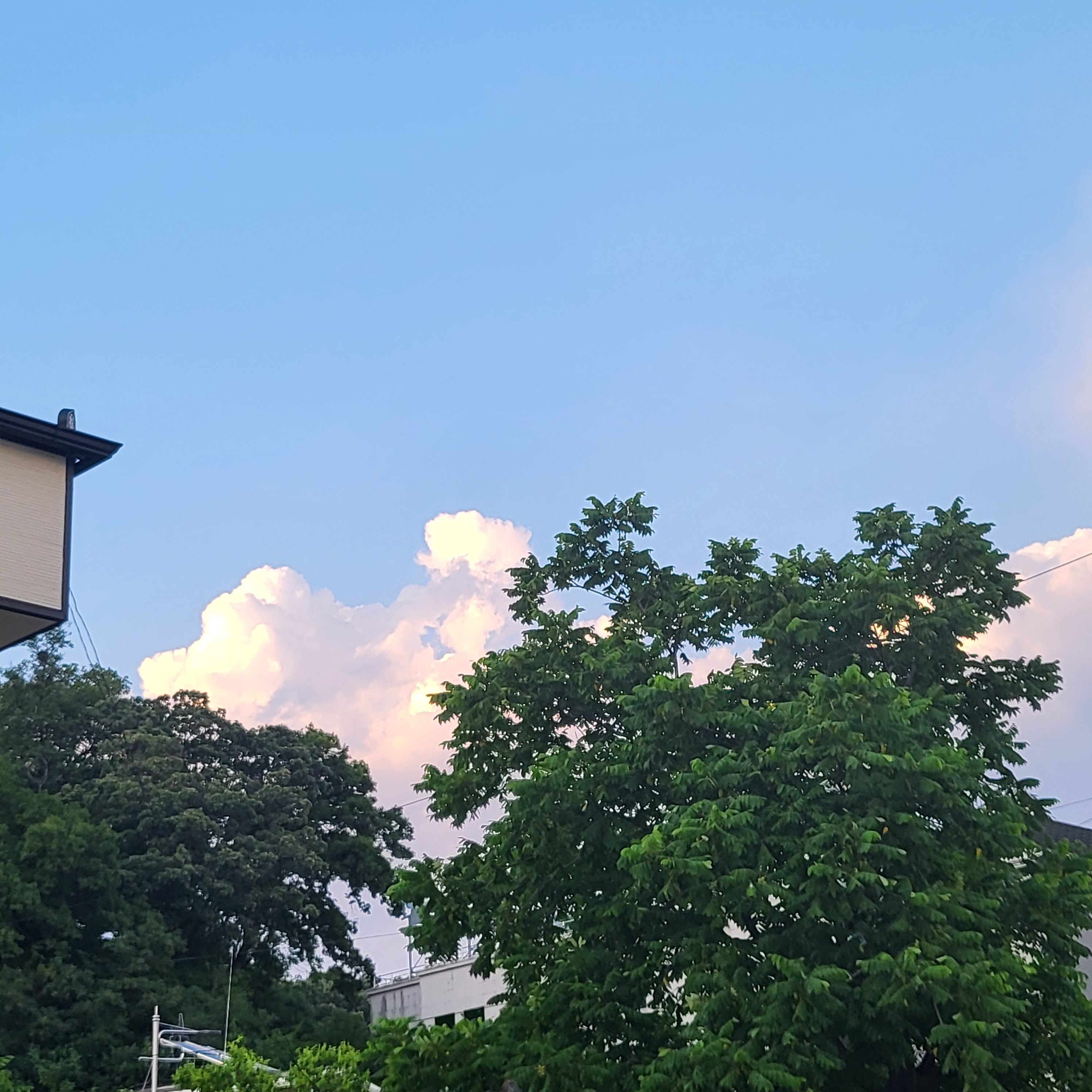 여름 향기 나는 사진 공유하는 글 | 인스티즈