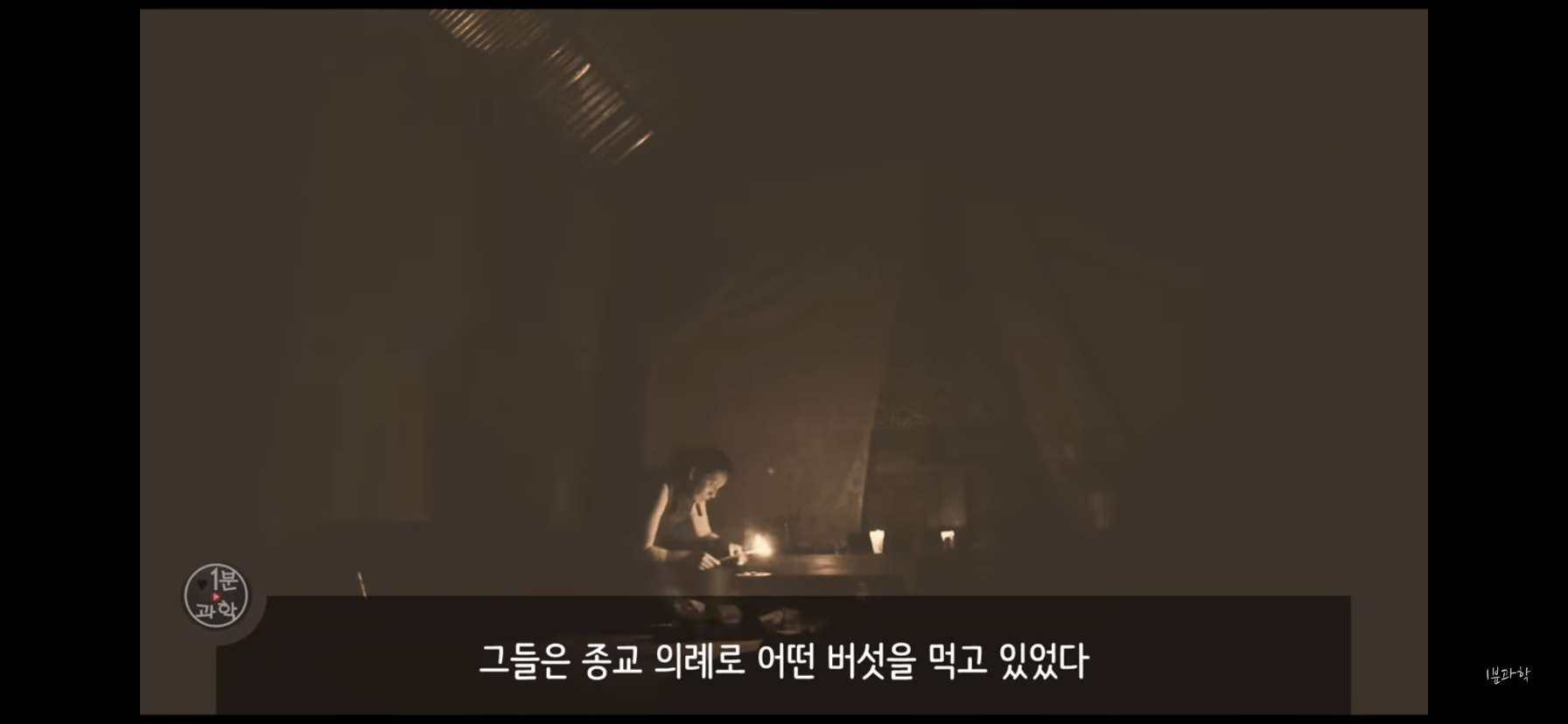 전세계에서 금지된 마약 | 인스티즈