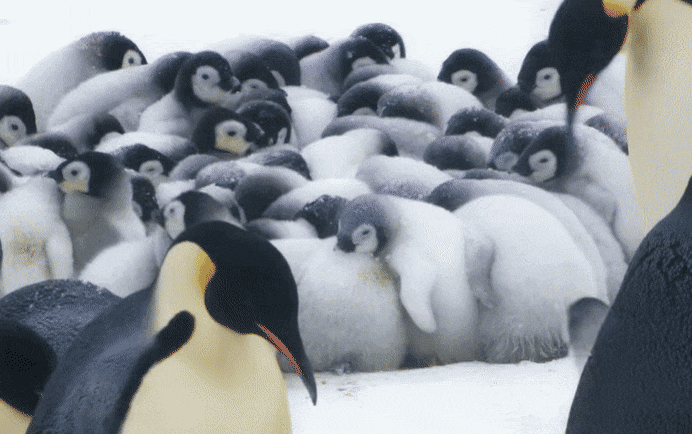 버스정류장에서 칼바람 맞으며 서 잇는데.. 어떤 여성분들이 너무 춥다 ㅜㅜ .twt | 인스티즈