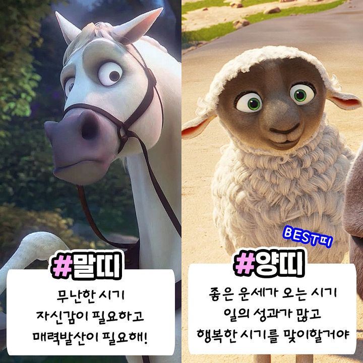 2023년 계묘년 띠별 운세모음 | 인스티즈