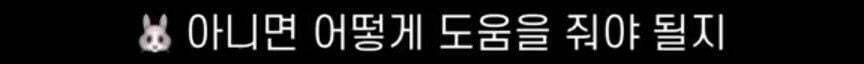 활동막방 후, 멤버들힘들거라고 1시간씩 같이 산책다녀왔다는 걸그룹 리더 | 인스티즈