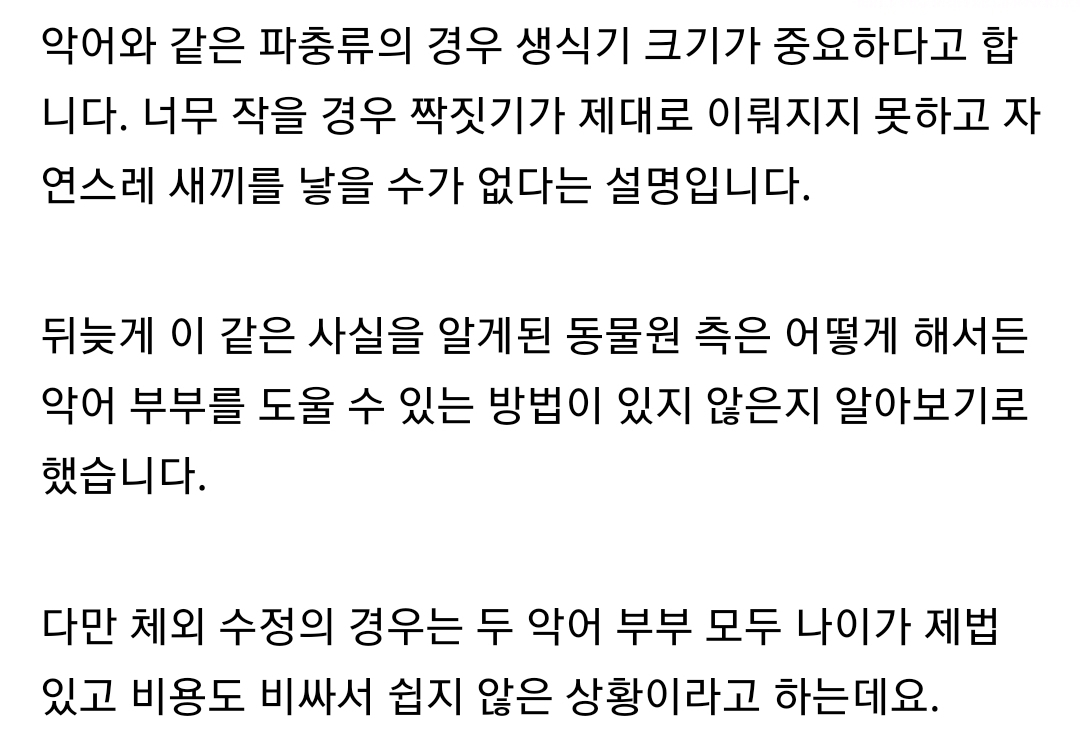 50년 넘도록 짝짓기했는데도 불구하고 수컷 악어가 암컷 악어를 임신 시키지 못한 충격적인 반전 이유 | 인스티즈