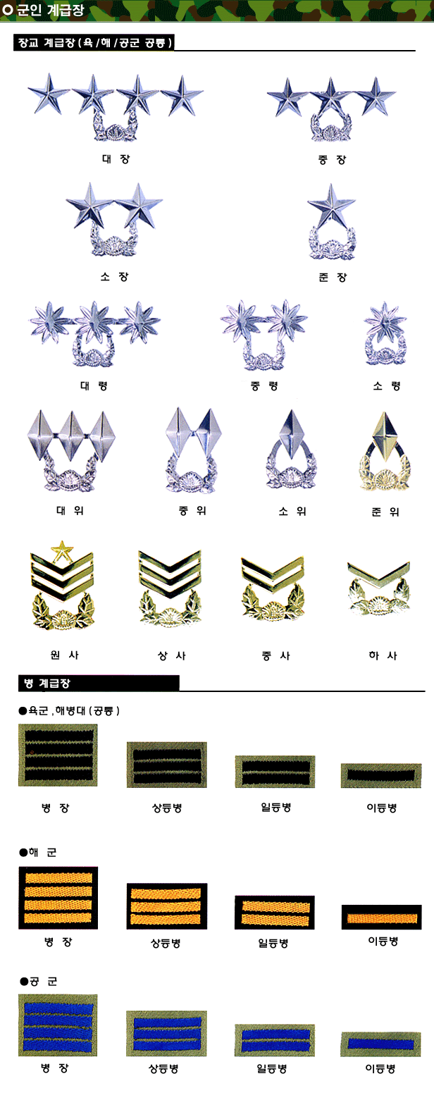 군복 입은 놈들 신고하는 방법을 알아보자 (군인 민원 넣기!!) | 인스티즈