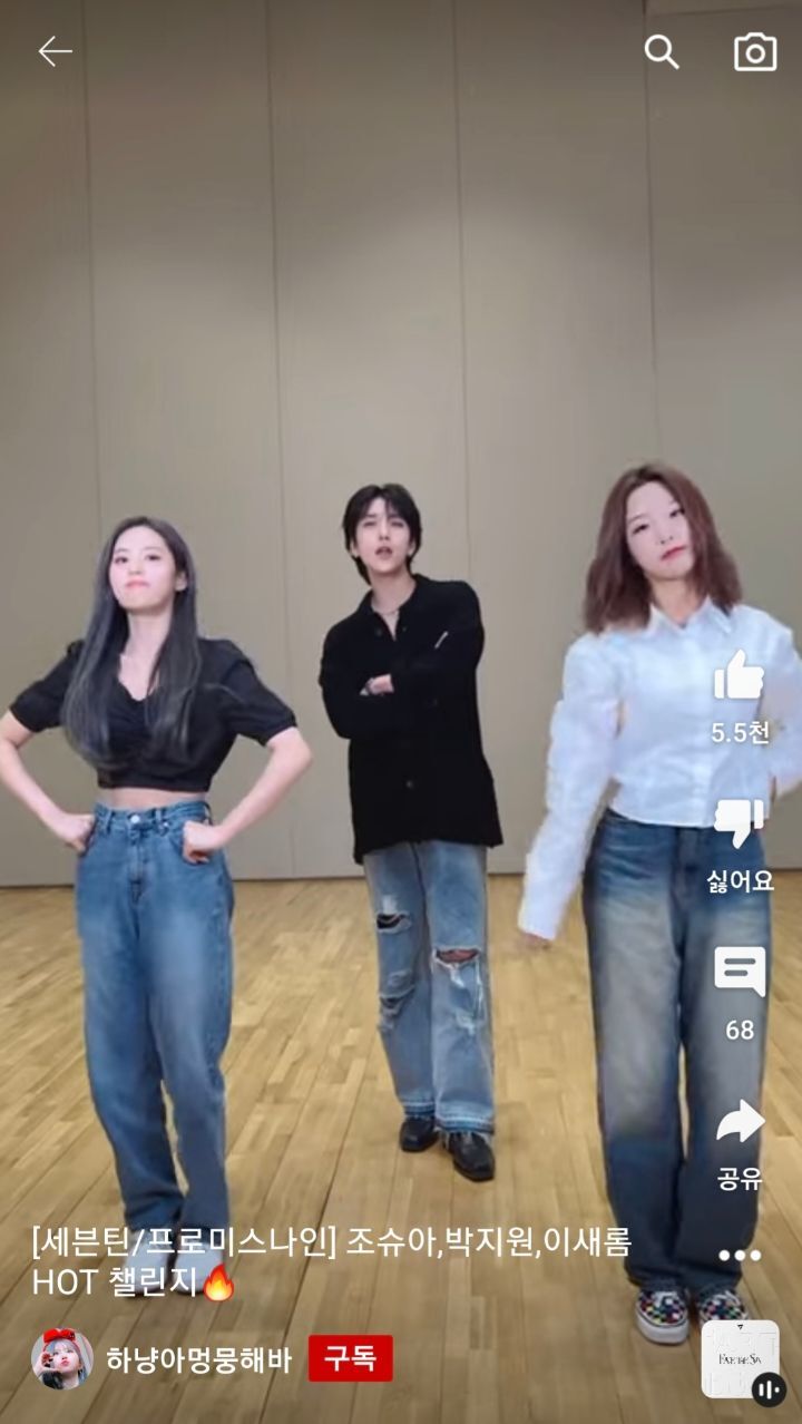 남돌&여돌 조합 챌린지 모음.jpg | 인스티즈