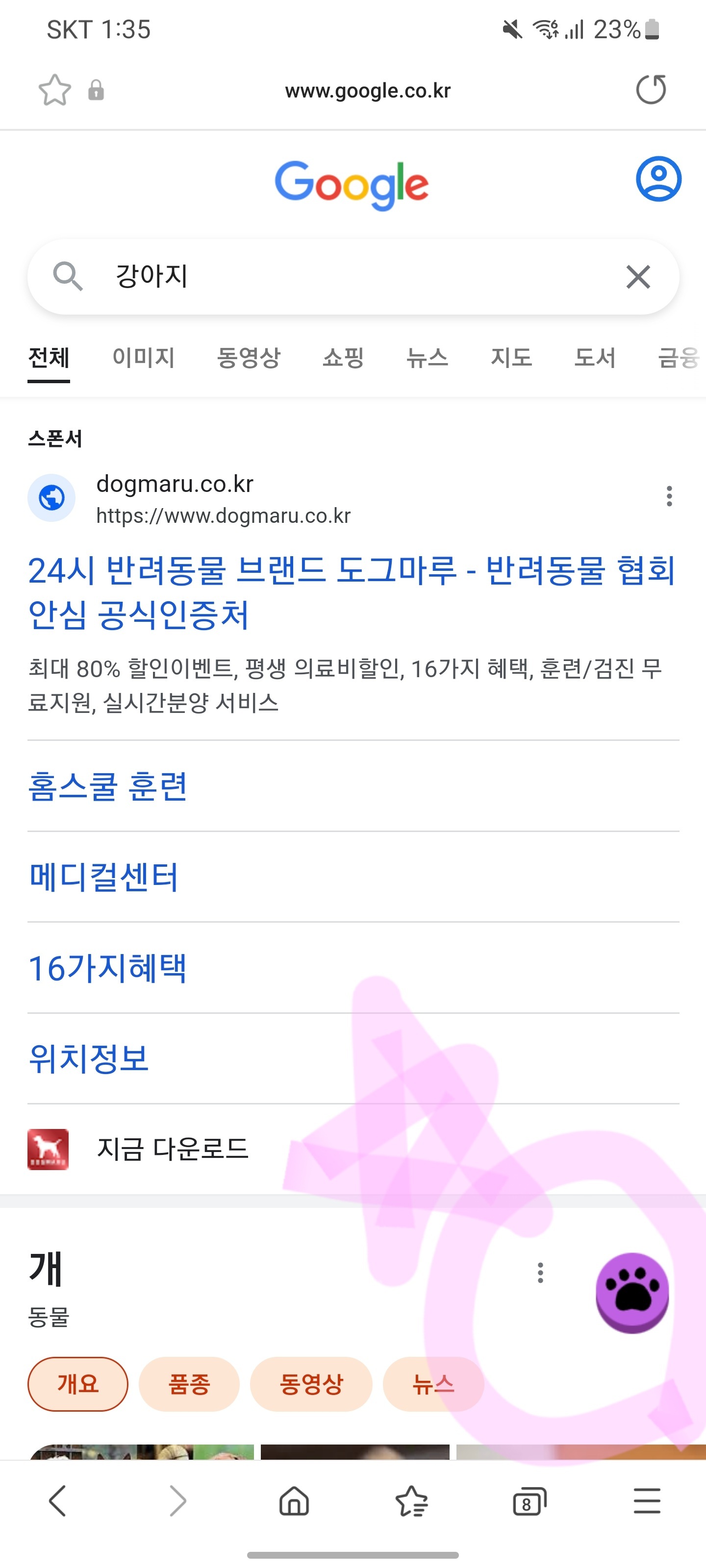 구글에 고양이와 강아지를 검색하면. gif | 인스티즈