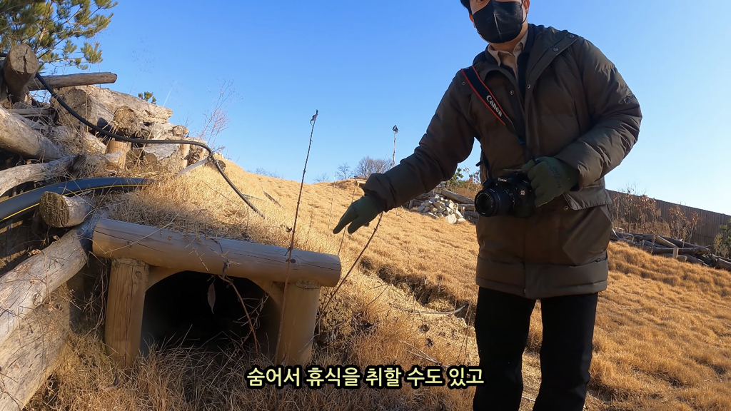 고속도로에 있는 생태통로 진짜 야생동물이 다닐까? | 인스티즈